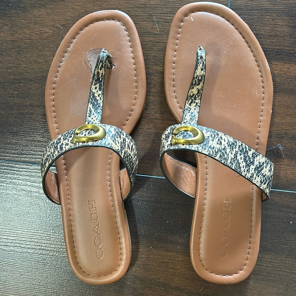 Coach sandal